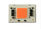 Chip principale spettro completo Driverless di prezzo franco fabbrica una PANNOCCHIA da 100 watt principale per luce progressiva