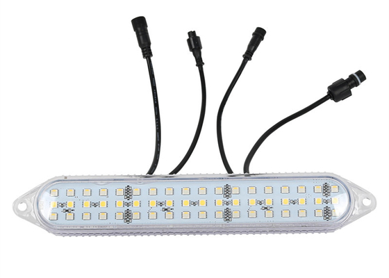24V DMX512 RGBW LED Pixel Module Lampade Per Passeggiate Divertenti impermeabile IP67