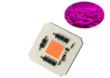 La PANNOCCHIA Driverless di alta efficienza 100W AC220v 380-780nm ha condotto il chip pieno della luce progressiva di spettro per la luce crescente principale della pianta