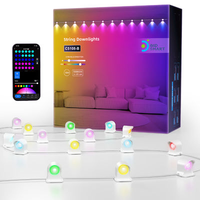 Adressabile RGB IP68 Acque resistenti LED Eave luci per la decorazione di Natale