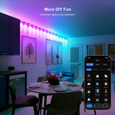 Adressabile RGB IP68 Acque resistenti LED Eave luci per la decorazione di Natale