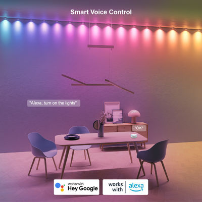 Adressabile RGB IP68 Acque resistenti LED Eave luci per la decorazione di Natale