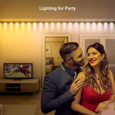 Adressabile RGB IP68 Acque resistenti LED Eave luci per la decorazione di Natale