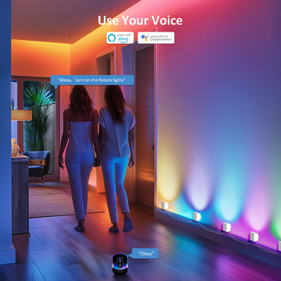 Controllo bluetooth indirizzabile RGBCW Smart Wall Sconces / Eave Lights Per la decorazione di Natale