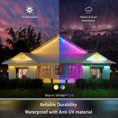 Pixel Light Natale Colorato Decorazione Casa 2024 RGB programmabile LED Forma IP65 Ignibile Illuminazione natalizia