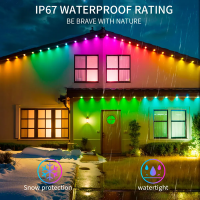 Pixel Light Natale Colorato Decorazione Casa 2024 RGB programmabile LED Forma IP65 Ignibile Illuminazione natalizia