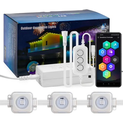 Pixel Light Natale Colorato Decorazione Casa 2024 RGB programmabile LED Forma IP65 Ignibile Illuminazione natalizia
