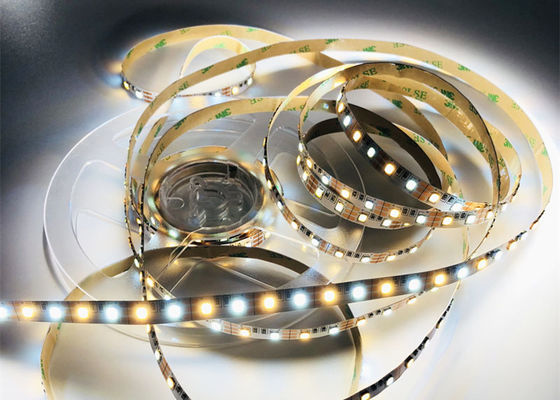 Colore bianco caldo al neon di 3.7VDC SMD2835 LED Flex Rope Light Cool White doppio
